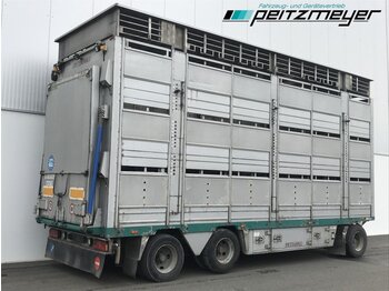 Tiertransporter Anhänger Pezzaioli Viehanhänger 3 Stock 3 Achs, Hubdach, LIA: das Bild 1