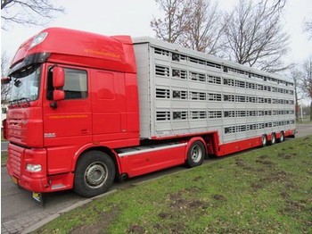NEU: Tiertransporter Auflieger Pezzaioli SBA**: das Bild 1
