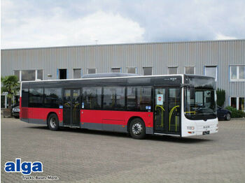 Linienbus MAN MAN Lions City, A21, Euro 5 EEV, Klima, 320 PS: das Bild 1