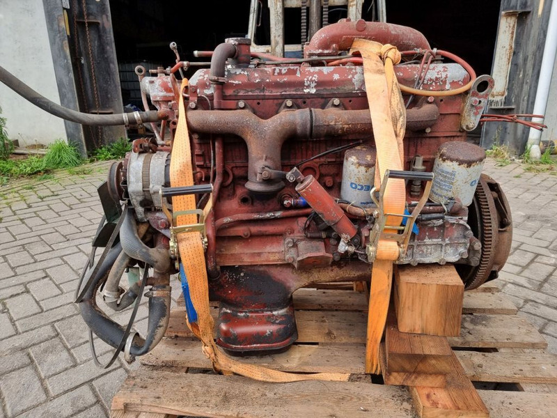 Motor für Landmaschine Fiat 8065-6 / FIAT F100 tractor: das Bild 5