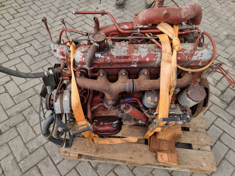 Motor für Landmaschine Fiat 8065-6 / FIAT F100 tractor: das Bild 4