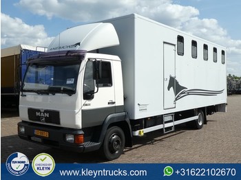 Koffer LKW MAN 9.153 horse truck: das Bild 1