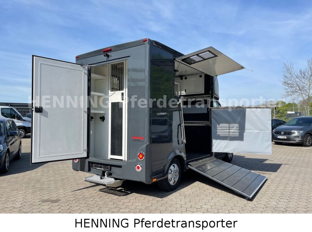 Pferdetransporter, Transporter Renault Master 3 - Sitzer *KURZ*: das Bild 6