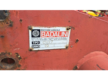 Badalini CSD/7 - Tiefenlockerer: das Bild 3