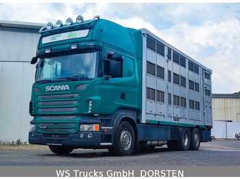 SCANIA R 440 Tiertransporter LKW