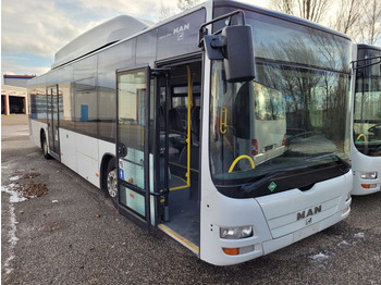 MAN 3X A20/CNG  - Linienbus: das Bild 1