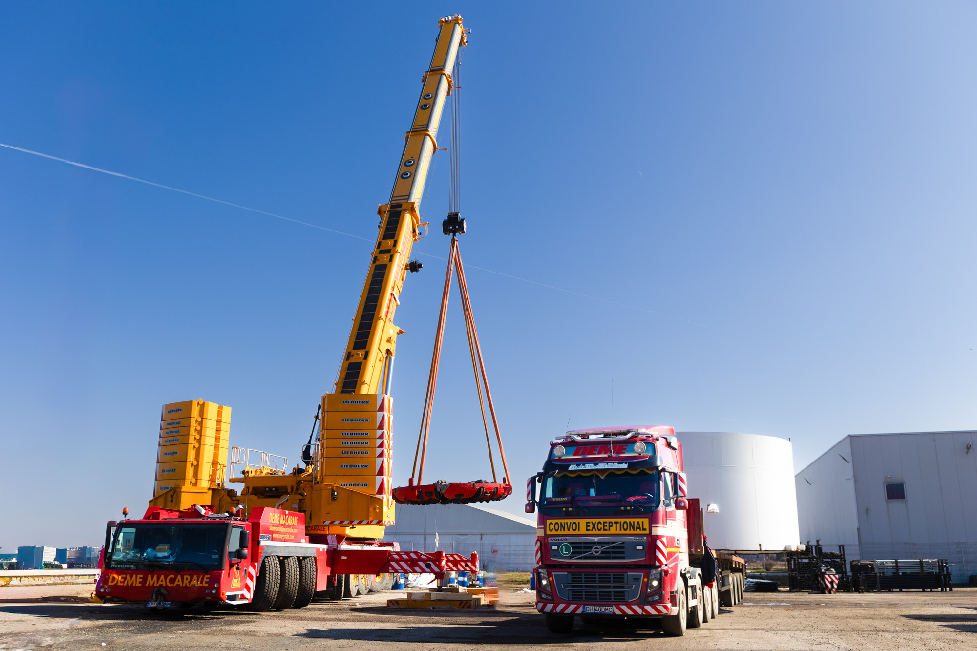 DEME MACARALE S.R.L. undefined: das Bild 5