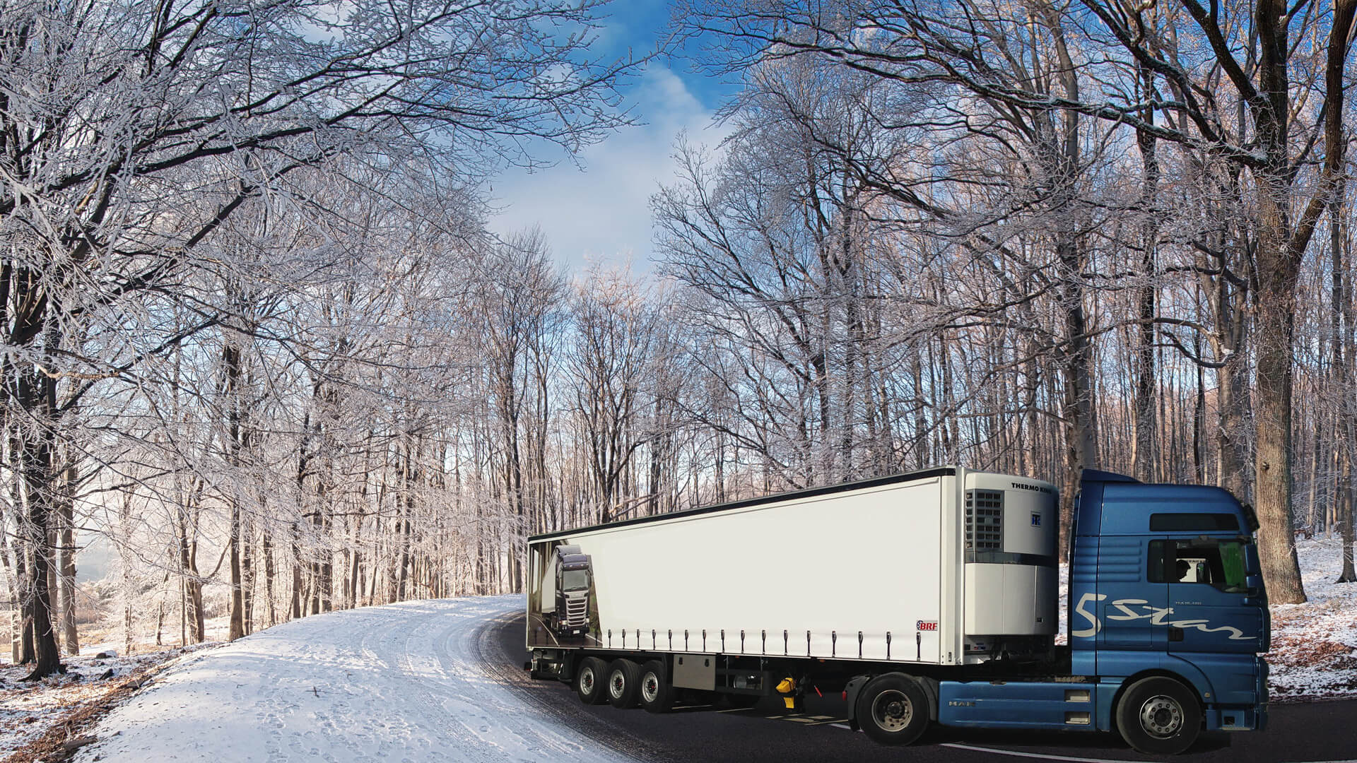 BRF REFRIGERATED TRAILER undefined: das Bild 3