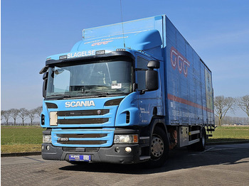 SCANIA P 250 Koffer LKW