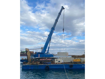LIEBHERR Raupenkran
