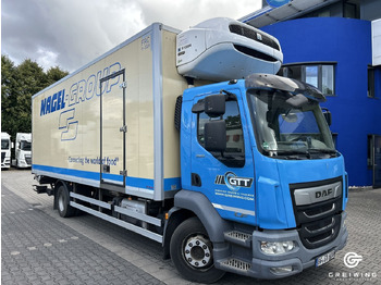 DAF LF 290 Kühlkoffer LKW
