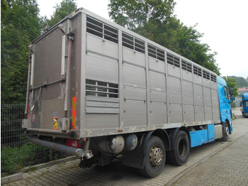 Tiertransporter LKW DAF XF 106.460, MENKE-JANZEN, UNFALL-FAHRBAR!!: das Bild 3