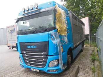 : Headerbild
