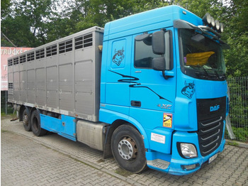 Tiertransporter LKW DAF XF 106.460, MENKE-JANZEN, UNFALL-FAHRBAR!!: das Bild 2