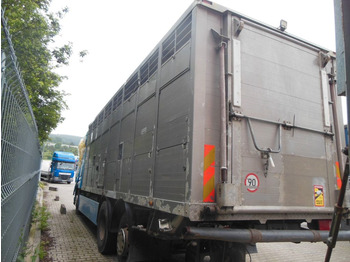 Tiertransporter LKW DAF XF 106.460, MENKE-JANZEN, UNFALL-FAHRBAR!!: das Bild 4
