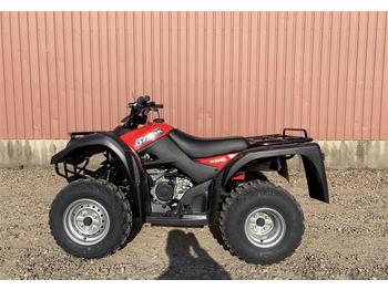 Quad Suzuki LT-F250 QZARK: das Bild 1