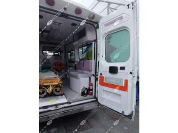 Krankenwagen ORION FIAT 250 DUCATO: das Bild 3