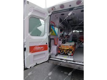 Krankenwagen ORION FIAT 250 DUCATO: das Bild 2
