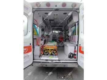 Krankenwagen ORION FIAT 250 DUCATO: das Bild 4