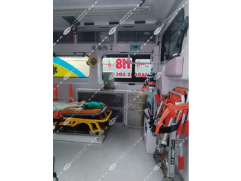 Krankenwagen ORION FIAT 250 DUCATO: das Bild 5