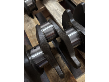 Kurbelwelle für Landmaschine Deutz BF6M1012 - wał korbowy 04204215R 02929935: das Bild 5 Kurbelwelle für Landmaschine Deutz BF6M1012 - wał korbowy 04204215R 02929935: das Bild 5