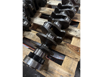 Kurbelwelle für Landmaschine Deutz BF6M1012 - wał korbowy 04204215R 02929935: das Bild 3 Kurbelwelle für Landmaschine Deutz BF6M1012 - wał korbowy 04204215R 02929935: das Bild 3