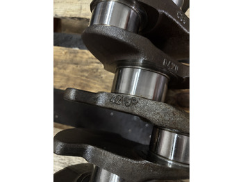 Kurbelwelle für Landmaschine Deutz BF6M1012 - wał korbowy 04204215R 02929935: das Bild 2 Kurbelwelle für Landmaschine Deutz BF6M1012 - wał korbowy 04204215R 02929935: das Bild 2