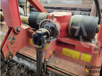 Humus  - Leasing Humus: das Bild 5