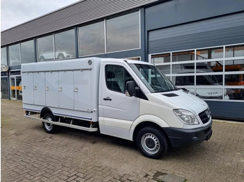 MERCEDES-BENZ Sprinter 310 Kühltransporter