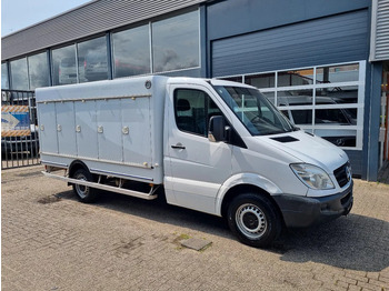 MERCEDES-BENZ Sprinter 313 Kühltransporter