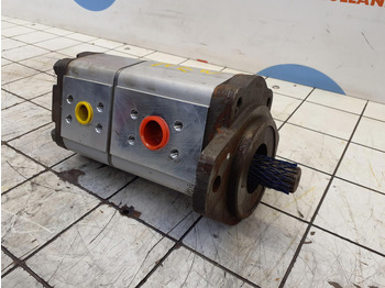 Hydraulikpumpe für Kran Compact truck CT-2 Dual gear pump: das Bild 3