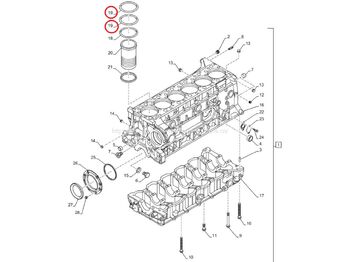 Kolbe/ Ring/ Laufbuchse FPT IVECO CASE Cursor11 F3GFE613A B001 5801863562/5801690111 Liner seal ring 504372471: das Bild 3 Kolbe/ Ring/ Laufbuchse FPT IVECO CASE Cursor11 F3GFE613A B001 5801863562/5801690111 Liner seal ring 504372471: das Bild 3