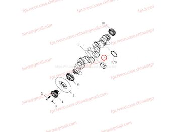 MAN Kurbelwellenlager