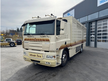 DAF CF 410 Tiertransporter LKW