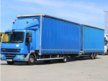 DAF LF 45 Plane LKW