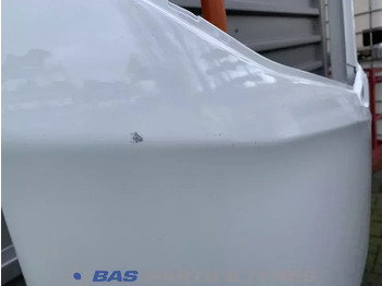 Tür und Teile für LKW DAF XF G2 Portier Rechts DAF 2197012: das Bild 3