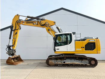 LIEBHERR R 924 Kettenbagger