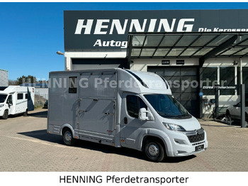 CITROËN Jumper Pferdetransporter
