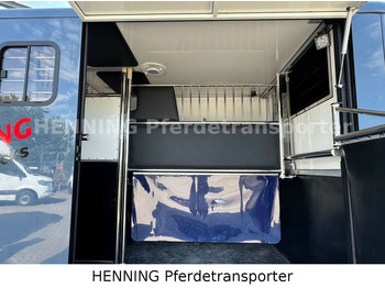 Pferdetransporter Opel Movano 3 - Sitzer *AUFBAU NEU*: das Bild 4