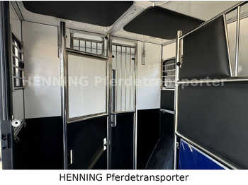Pferdetransporter Opel Movano 3 - Sitzer *AUFBAU NEU*: das Bild 5