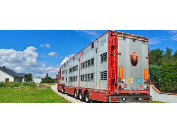 PEZZAIOLI Tiertransporter Auflieger