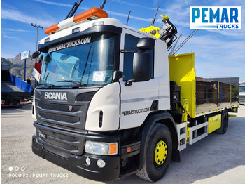 Autokran SCANIA P 250 GRUA CAJA FIJA: das Bild 2