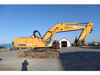 Kettenbagger Liebherr R 954 B HD: das Bild 5