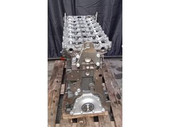 JAGUAR Motor
