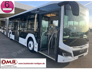 MAN Lion's City Gelenkbus