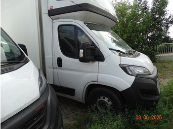 FIAT Ducato Kühltransporter