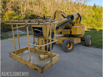TEREX Arbeitsbühne