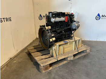 MITSUBISHI Motor