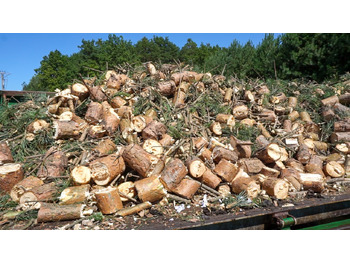 Holzschredder REMET RĘBAK WOM MODEL R-120 + TAŚMOCIĄG 2,3M: das Bild 3