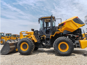 LIUGONG Kettenbagger